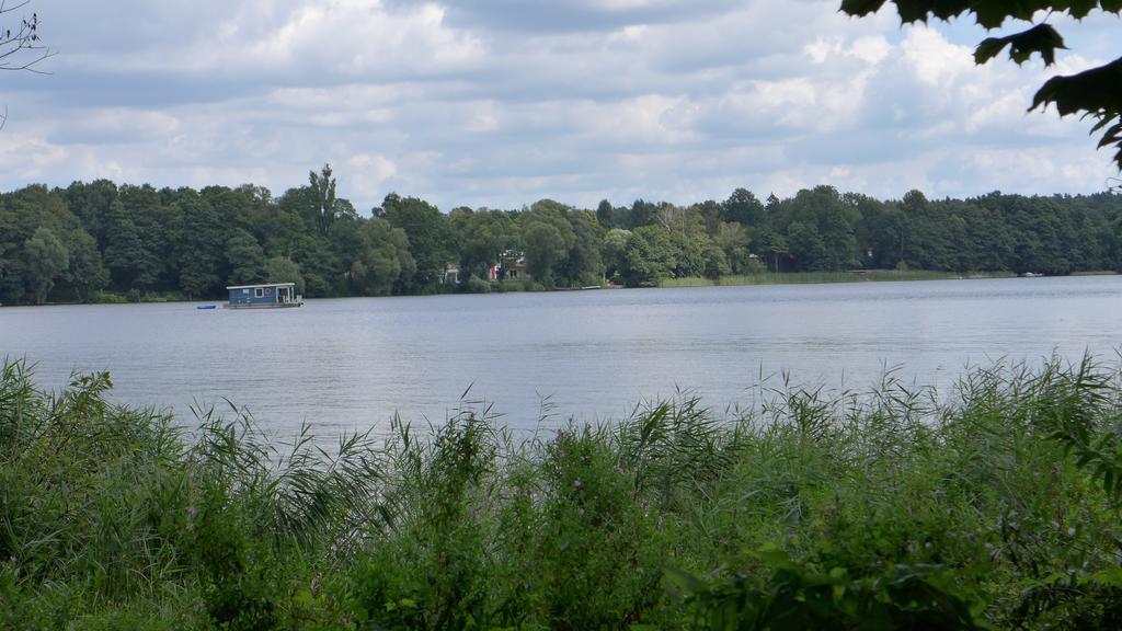 Ferienhaus Natura Neuruppin Rum bild
