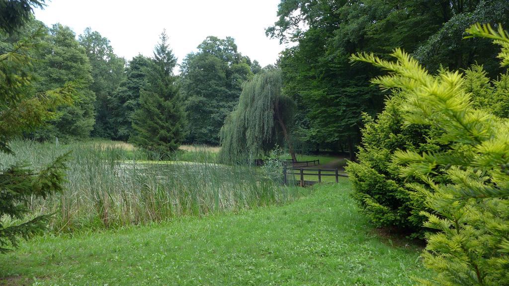 Ferienhaus Natura Neuruppin Rum bild