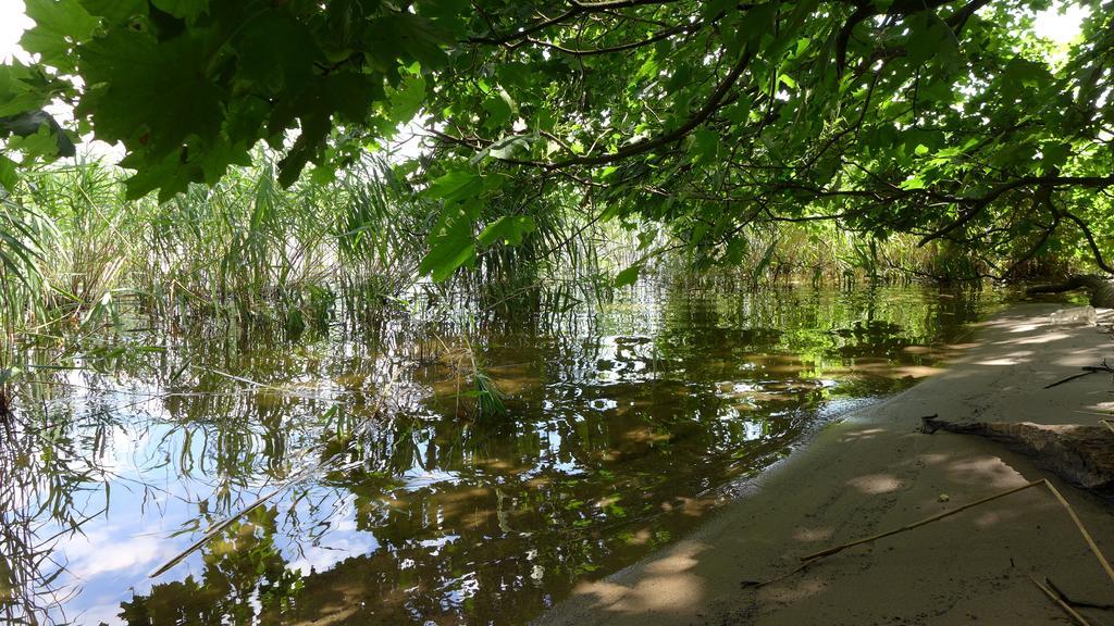 Ferienhaus Natura Neuruppin Rum bild