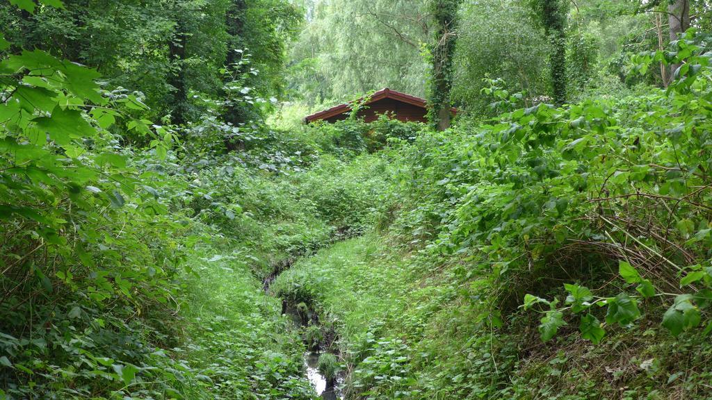 Ferienhaus Natura Neuruppin Rum bild